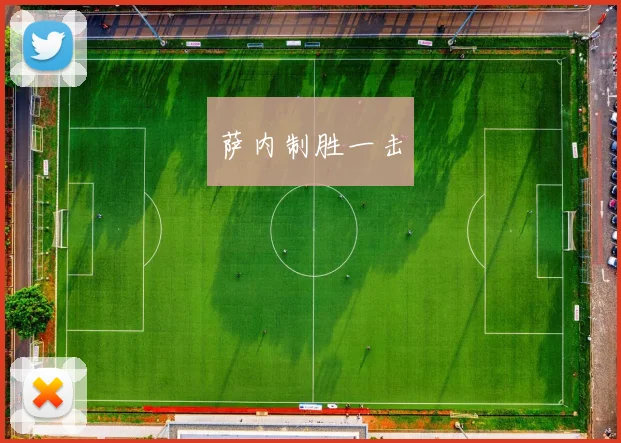 萨内制胜一击