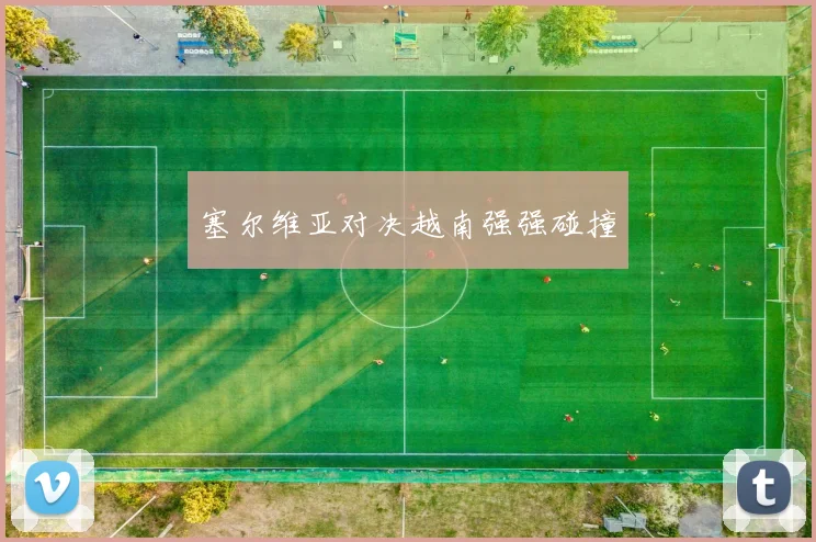 塞尔维亚对决越南强强碰撞