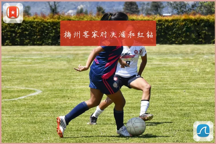 梅州客家对决浦和红钻