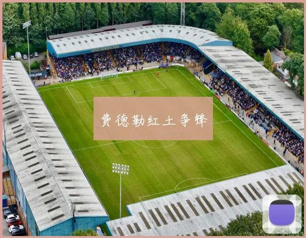 费德勒红土争锋