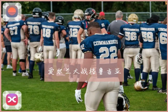 爱尔兰大战格鲁吉亚
