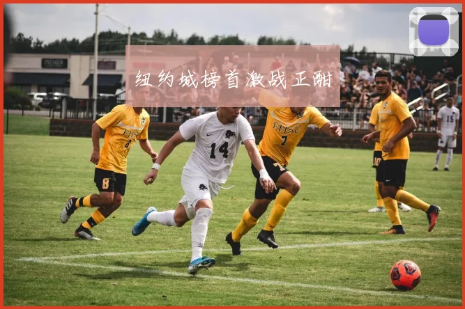 纽约城榜首激战正酣