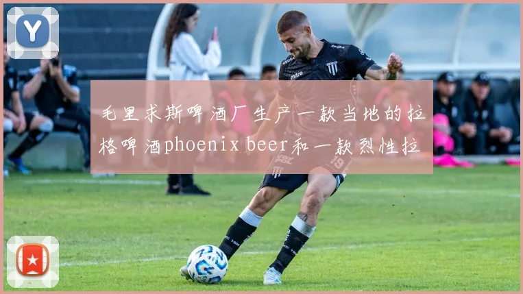 毛里求斯啤酒厂生产一款当地的拉格啤酒phoenix beer和一款烈性拉格啤酒blue marlin