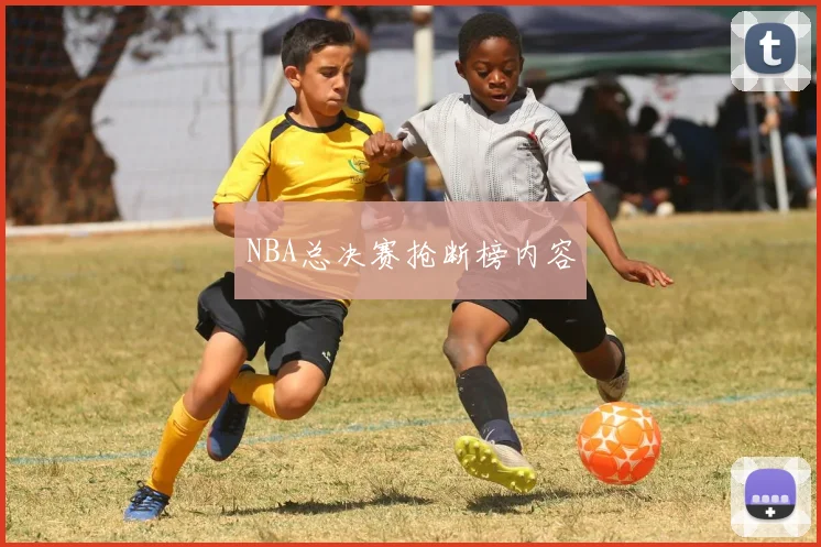NBA总决赛抢断榜内容