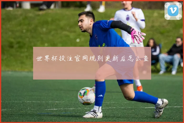 世界杯投注官网规则更新后怎么查